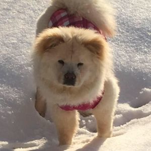 Meet your Posher, Cheryl